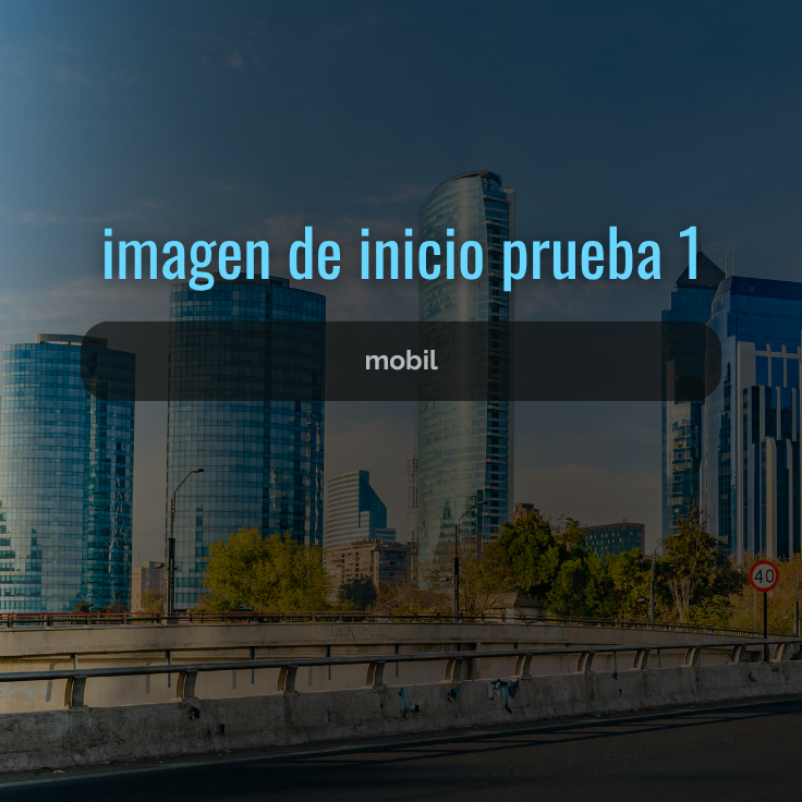 PRUEBA IMAGEN INICIO